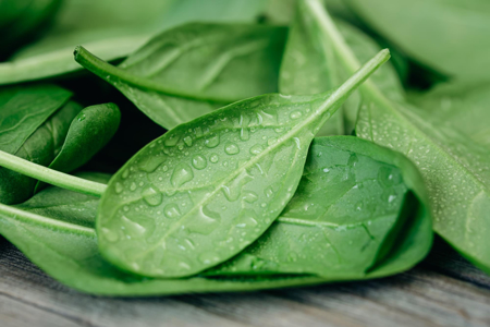 Picture for category Leaf  Vegetables